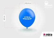 BALON ( tek taraf İki renk baskı) 1000 adet