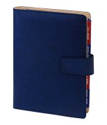 Organizer 251