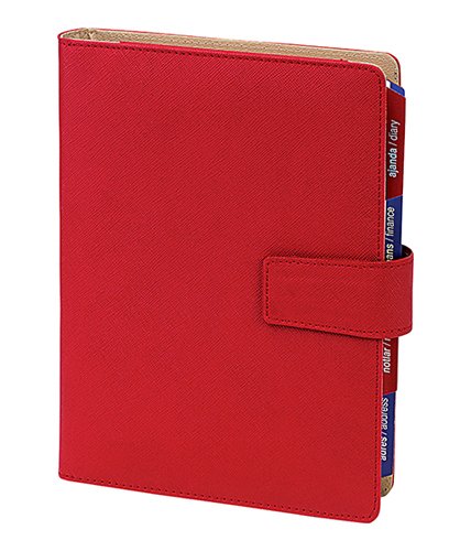 Organizer 251