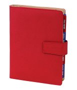 Organizer 251