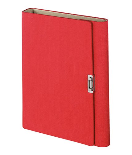 Organizer 221