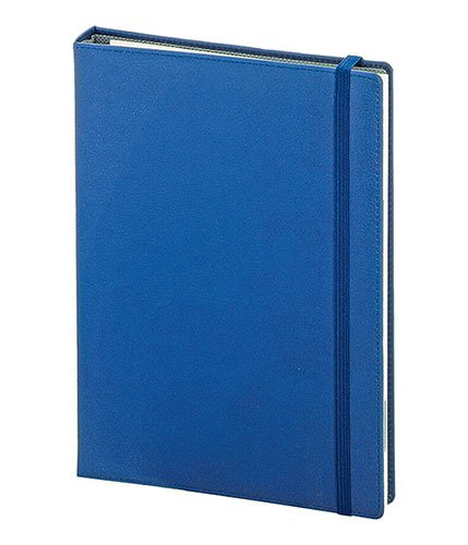 Ajanda 1221 (Gizli sprelli)
