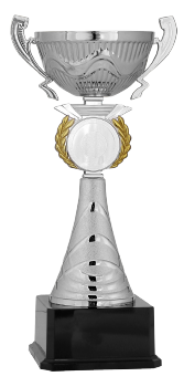 Gümüş Kupa 34 cm