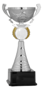 Gümüş Kupa 31 cm