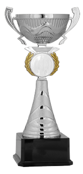 Gümüş Kupa 29 cm