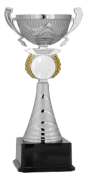 Gümüş Kupa 29 cm