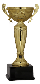 Kupa Altın 01 (33 cm)