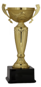 Kupa Altın 02  (30 cm)