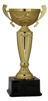 Kupa Altın 03  (28 cm)