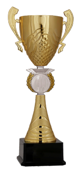 Kupa Altın 07 (37 cm)