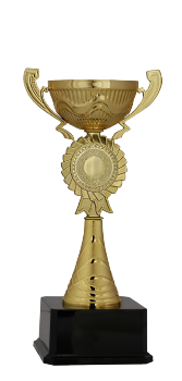 Kupa Altın 06  (31 cm)