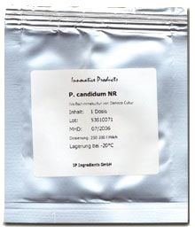Penicillium Candidum-Peynir Kültürü
