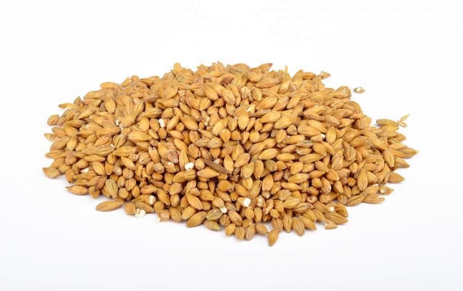 Acidulated Malt (Mayhoş Malt) - 1 kg