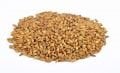 CaraMunih®  III Malt- 1 Kg