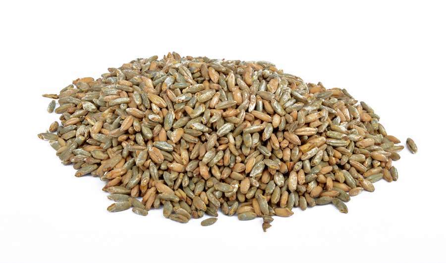 Açık Renkli Çavdar Maltı-   5 Kg