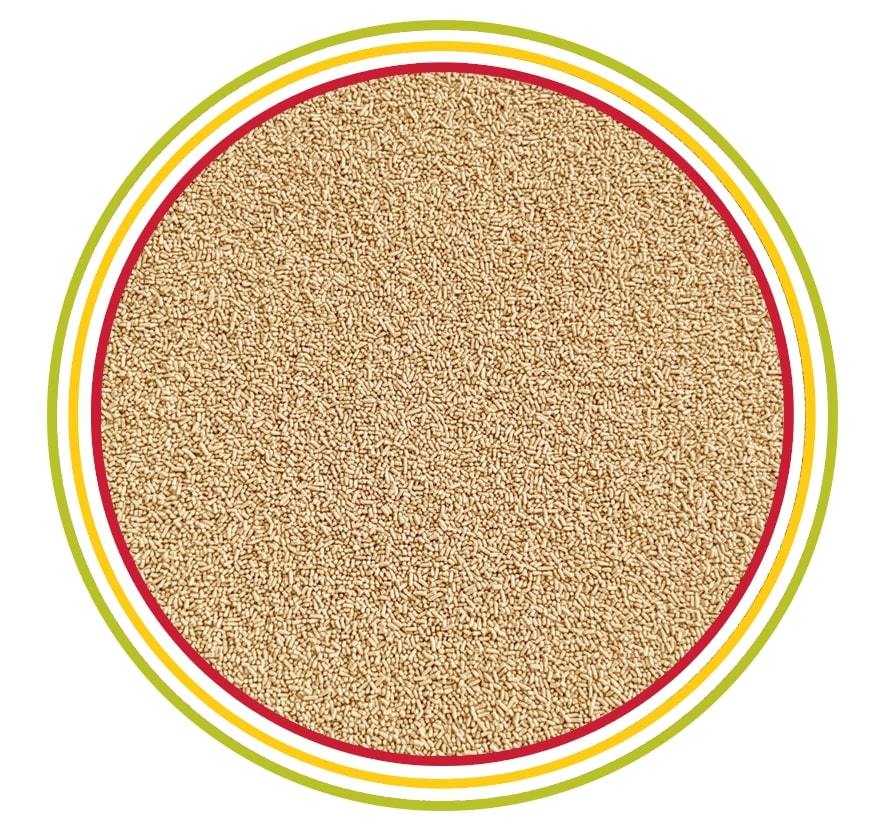 Alman Buğday Birası Mayası 10 gr