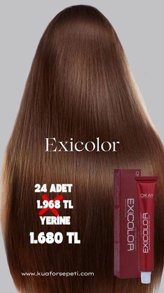 Exicolor Tüp Saç Boyası 60 ml 24 adet