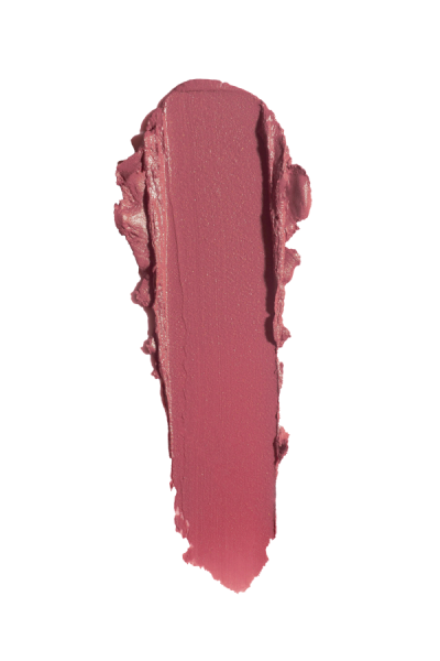 Pastel Nude Ruj 542 4.3 g