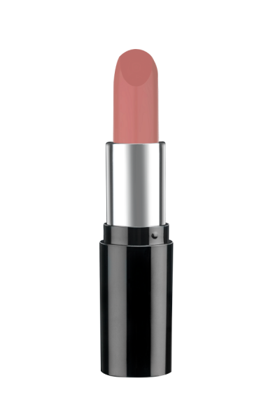Pastel Nude Ruj 543 4.3 g