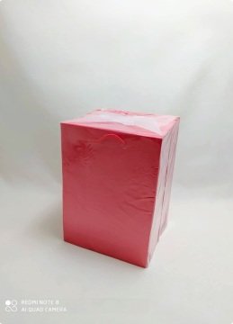 25 Li Kırmızı Toptan Hediyelik Karton Çanta 14x17 Cm
