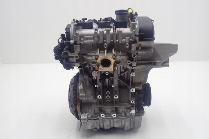 Volkswagen Polo 1.0 Ts Dkr C kma Motor