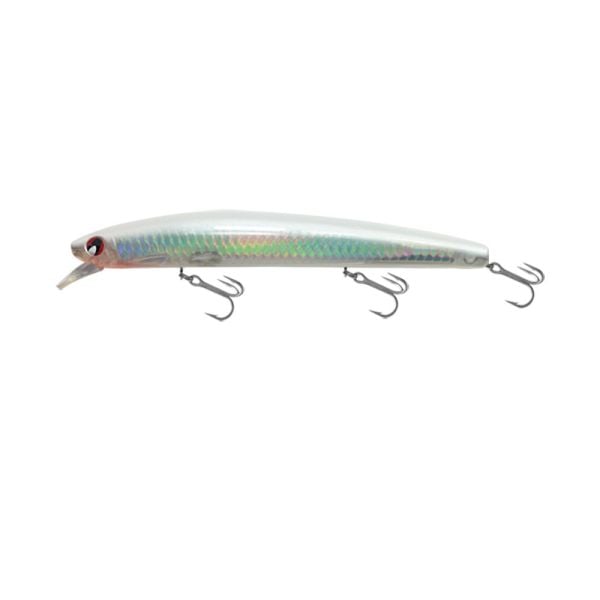 JAPANESE MINNOW HG2536