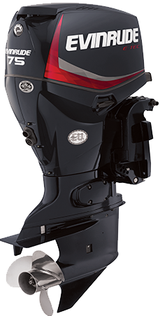 MOTOR G1 E75DSL/E75DPGL - UZUN ŞAFT MARŞLI TRİMLİ