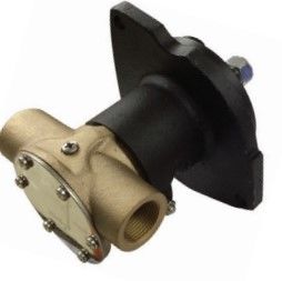 1'' Flanşlı Pompa - FIAT