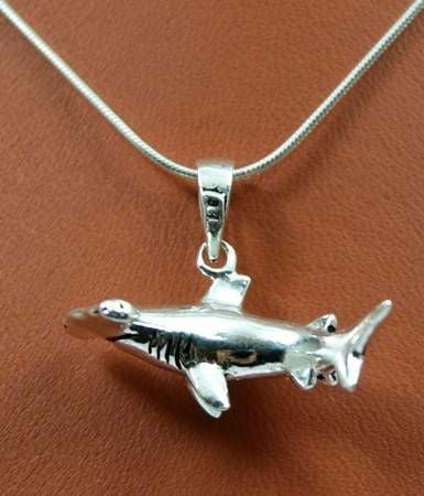 ÇEKİÇ KÖPEK BALIĞI - KIVRIK