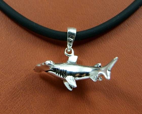 ÇEKİÇ KÖPEK BALIĞI - KIVRIK