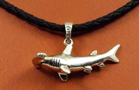 ÇEKİÇ KÖPEKBALIĞI