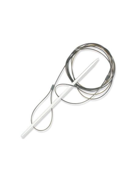 İpli Balık Dizgisi