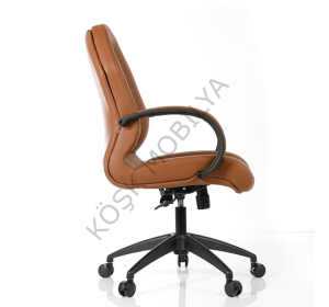 Forte 100P