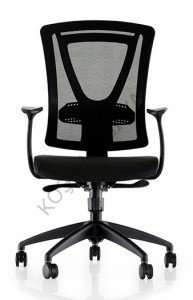 Parox 100T