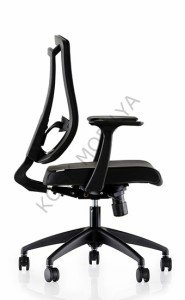 Parox 100T
