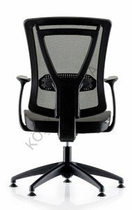 Parox 200T