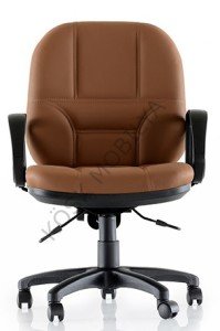 Manager 100P