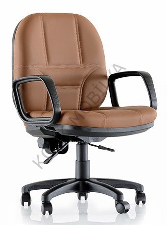 Manager 100P