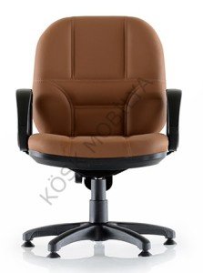 Manager 200P