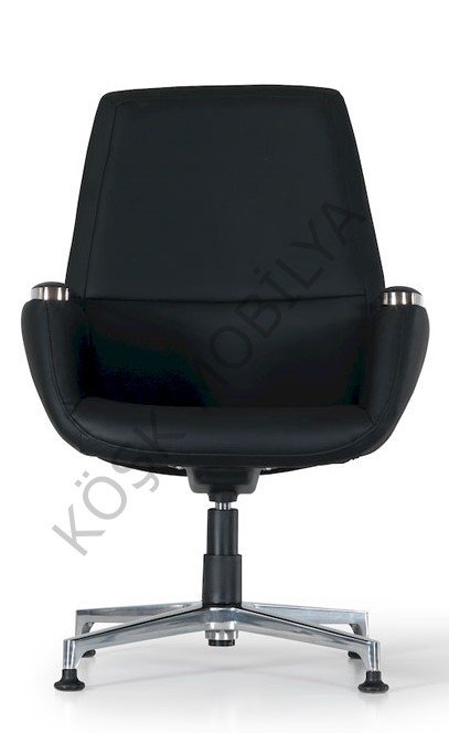 SİLVER 200 C