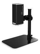 UM 12