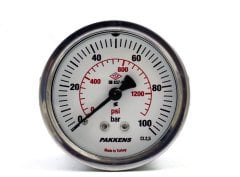 Pakkens 0-100 Bar 50 mm Panotipi Arkadan Bağlantılı Kuru Manometre G 1/8 inç