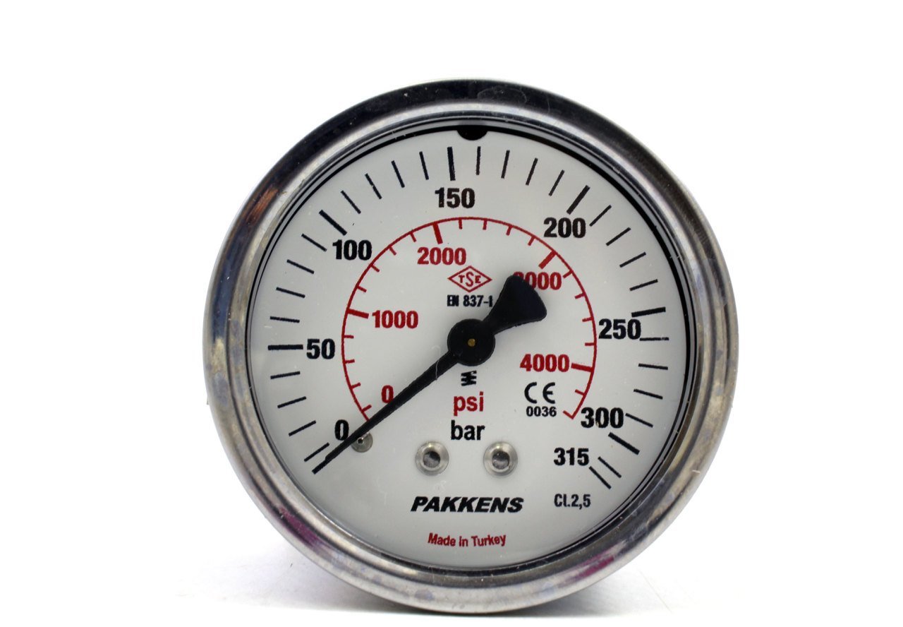 Pakkens 0-315 Bar 50 mm Panotipi Arkadan Bağlantılı Kuru Manometre G 1/8 inç
