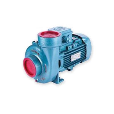 Varan CS-33 Kompakt Monoblok Santrifüj Pompa 3 Hp 380 Volt