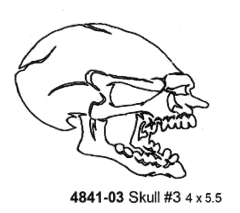 4841-03 Skull Stencil #3 4'' x 5.5'' (10cmX14cm) Airbrush Plastik Şablon