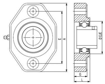 206 RULMAN YATAĞI/206 BEARINGS UNIT