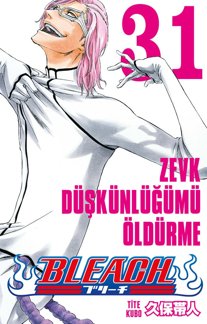 Bleach 31.Cilt