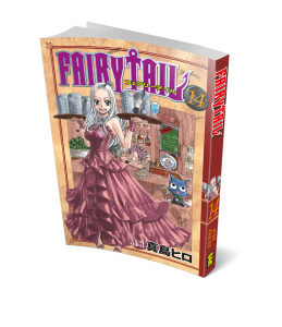 Fairy Tail 14. Cilt