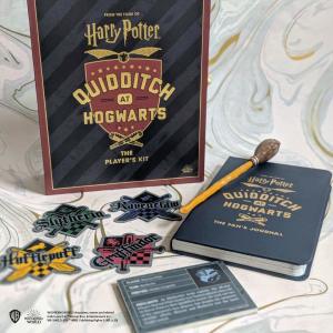 Harry Potter Quidditch at Hogwarts