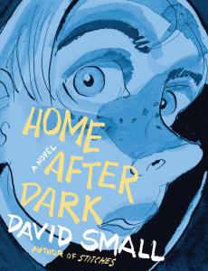 Home After Dark: A Novel HC